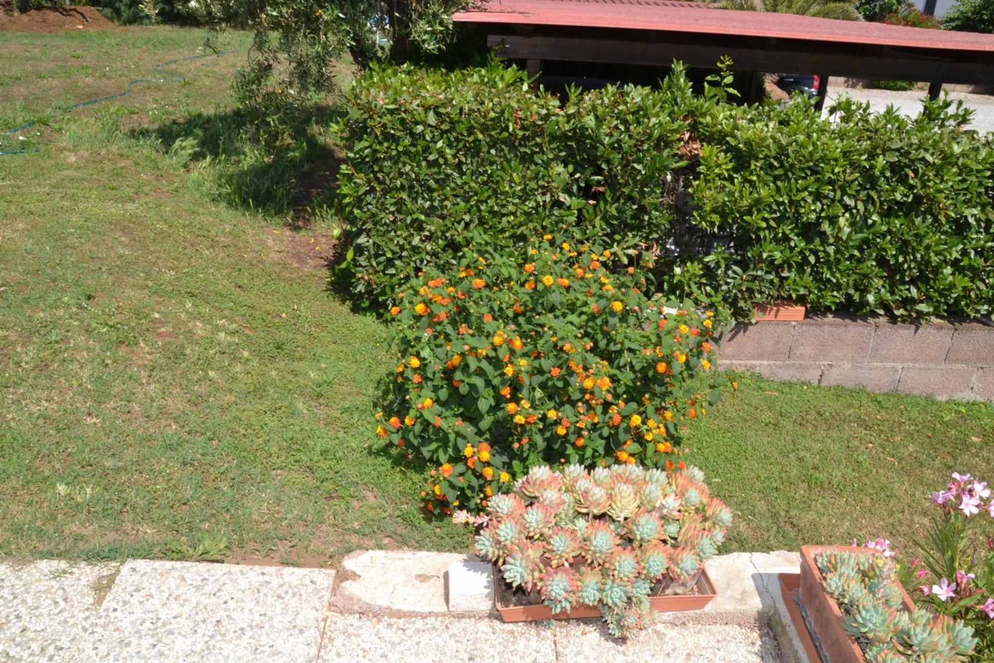 فندق La Mimosa بولغيري المظهر الخارجي الصورة